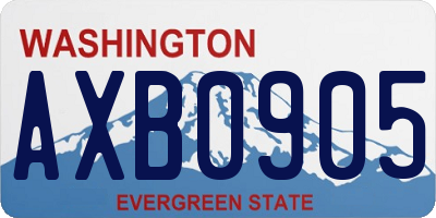 WA license plate AXB0905
