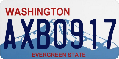 WA license plate AXB0917
