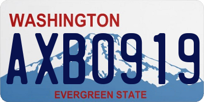 WA license plate AXB0919