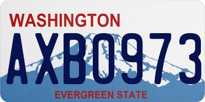 WA license plate AXB0973