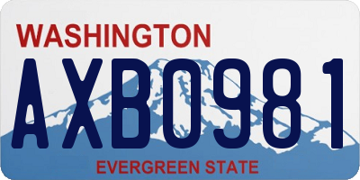 WA license plate AXB0981