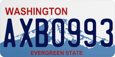 WA license plate AXB0993