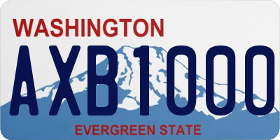 WA license plate AXB1000