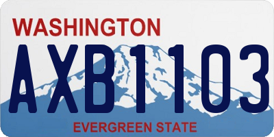 WA license plate AXB1103