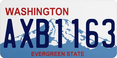 WA license plate AXB1163