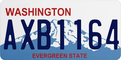 WA license plate AXB1164