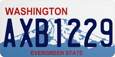 WA license plate AXB1229