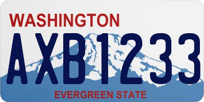 WA license plate AXB1233