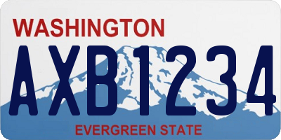 WA license plate AXB1234