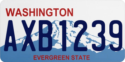 WA license plate AXB1239