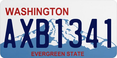 WA license plate AXB1341