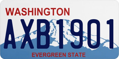 WA license plate AXB1901