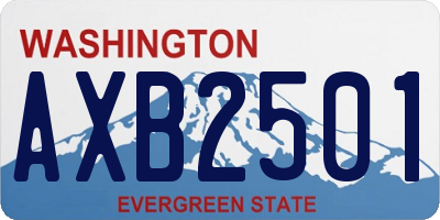WA license plate AXB2501