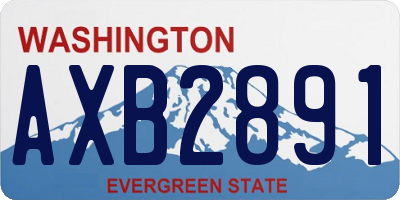 WA license plate AXB2891