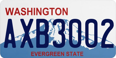 WA license plate AXB3002
