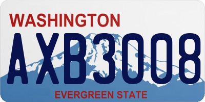 WA license plate AXB3008