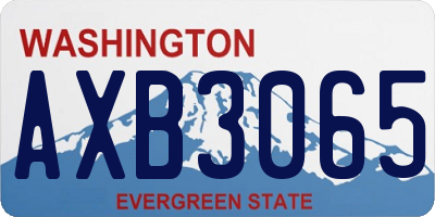 WA license plate AXB3065