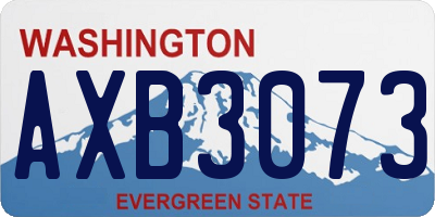 WA license plate AXB3073