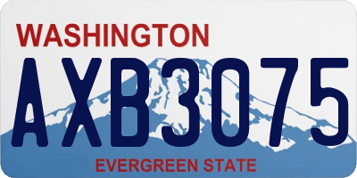 WA license plate AXB3075