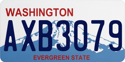 WA license plate AXB3079