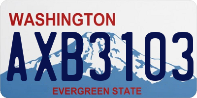 WA license plate AXB3103