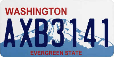 WA license plate AXB3141