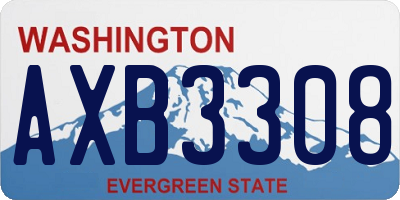 WA license plate AXB3308