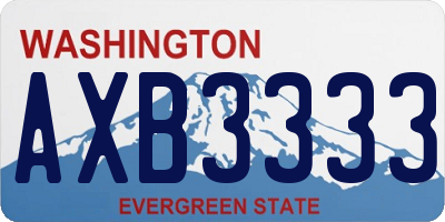 WA license plate AXB3333