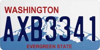 WA license plate AXB3341