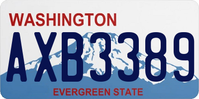 WA license plate AXB3389