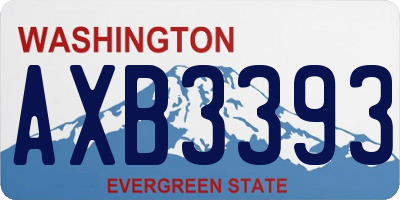 WA license plate AXB3393