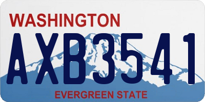 WA license plate AXB3541