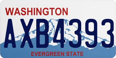 WA license plate AXB4393