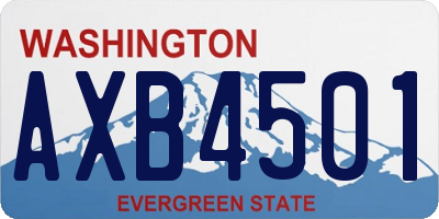 WA license plate AXB4501