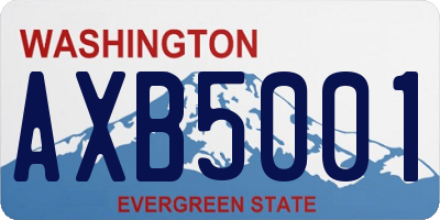 WA license plate AXB5001