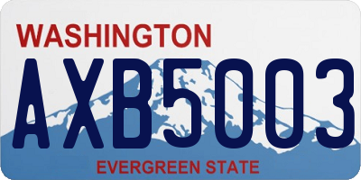 WA license plate AXB5003