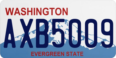 WA license plate AXB5009