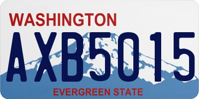WA license plate AXB5015