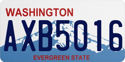 WA license plate AXB5016