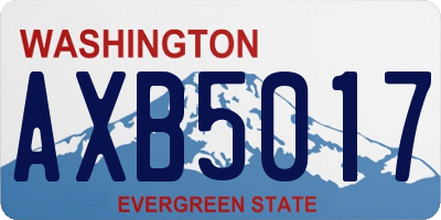 WA license plate AXB5017