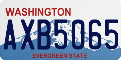 WA license plate AXB5065