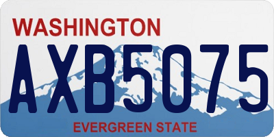 WA license plate AXB5075