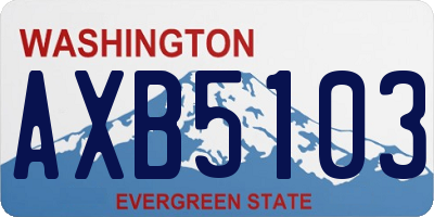 WA license plate AXB5103