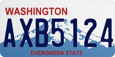 WA license plate AXB5124