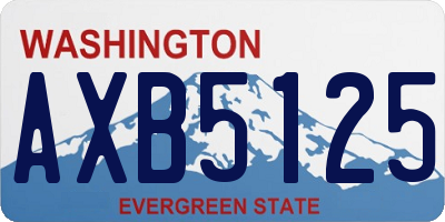 WA license plate AXB5125