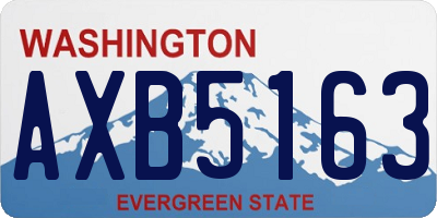 WA license plate AXB5163