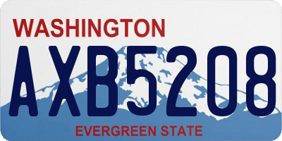 WA license plate AXB5208