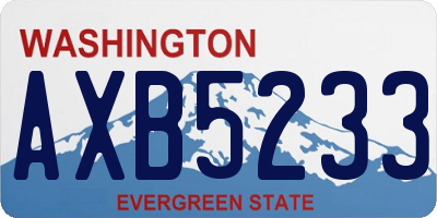 WA license plate AXB5233