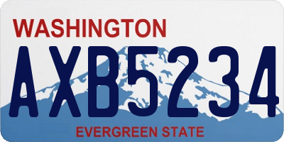 WA license plate AXB5234