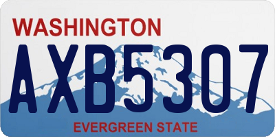 WA license plate AXB5307